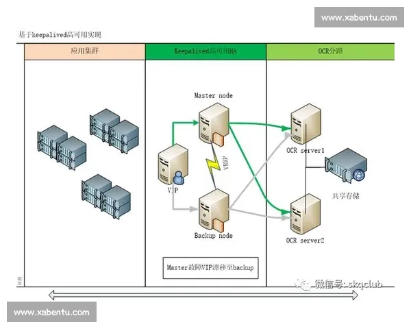 体育职业技能提升路径与实战应用全方位解析